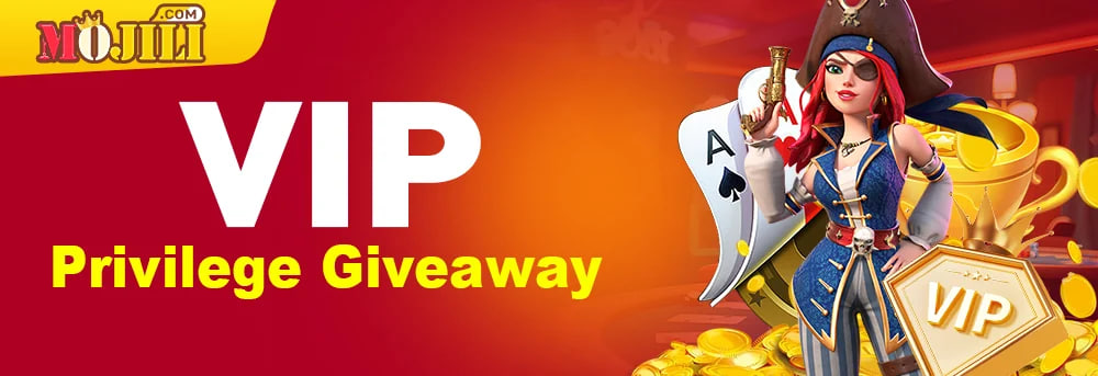 Mojili5 Casino 3 Mojili casino VIP